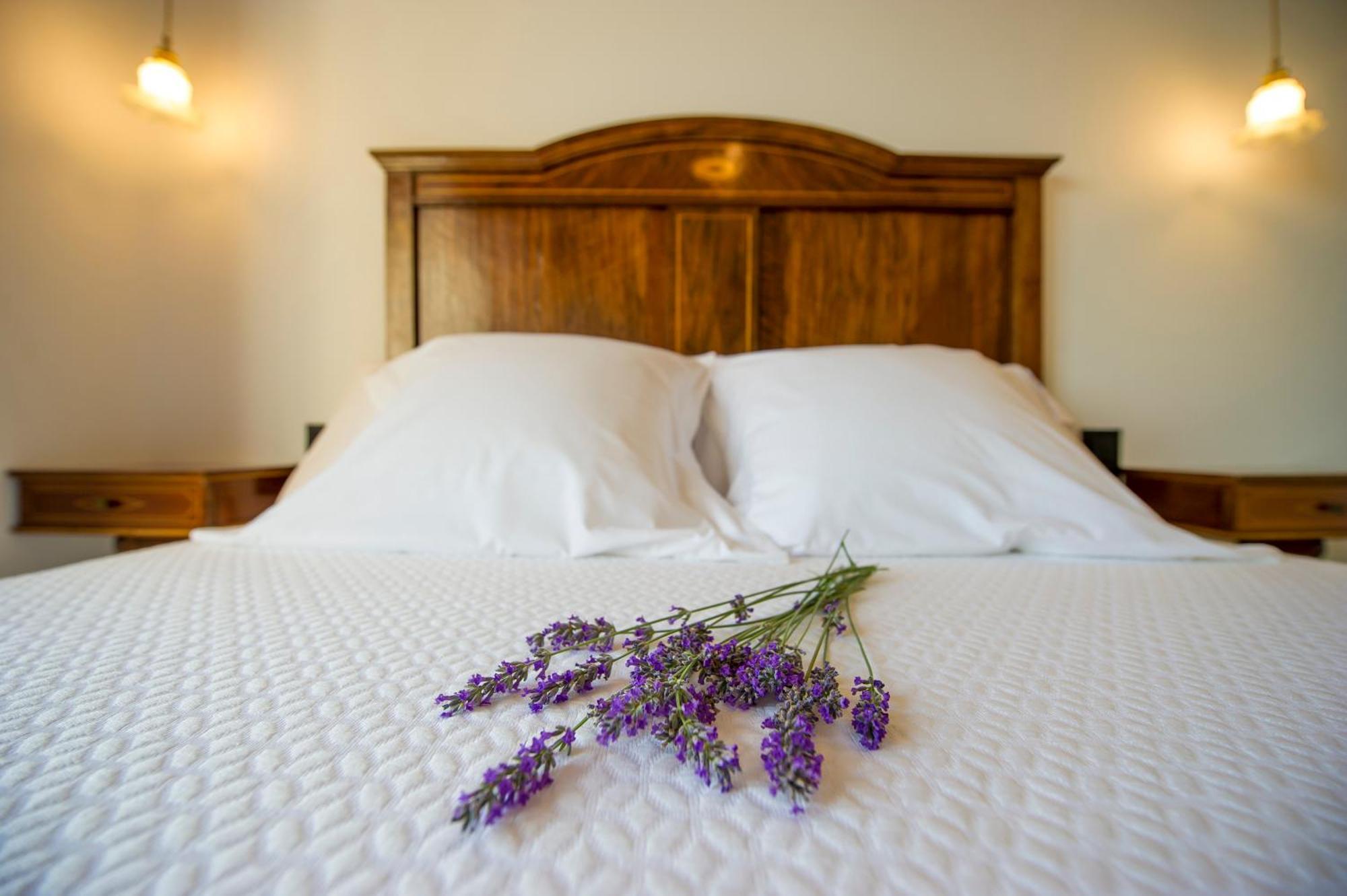 Bolet Casa Modernista Bed and Breakfast Castellvi de la Marca Εξωτερικό φωτογραφία