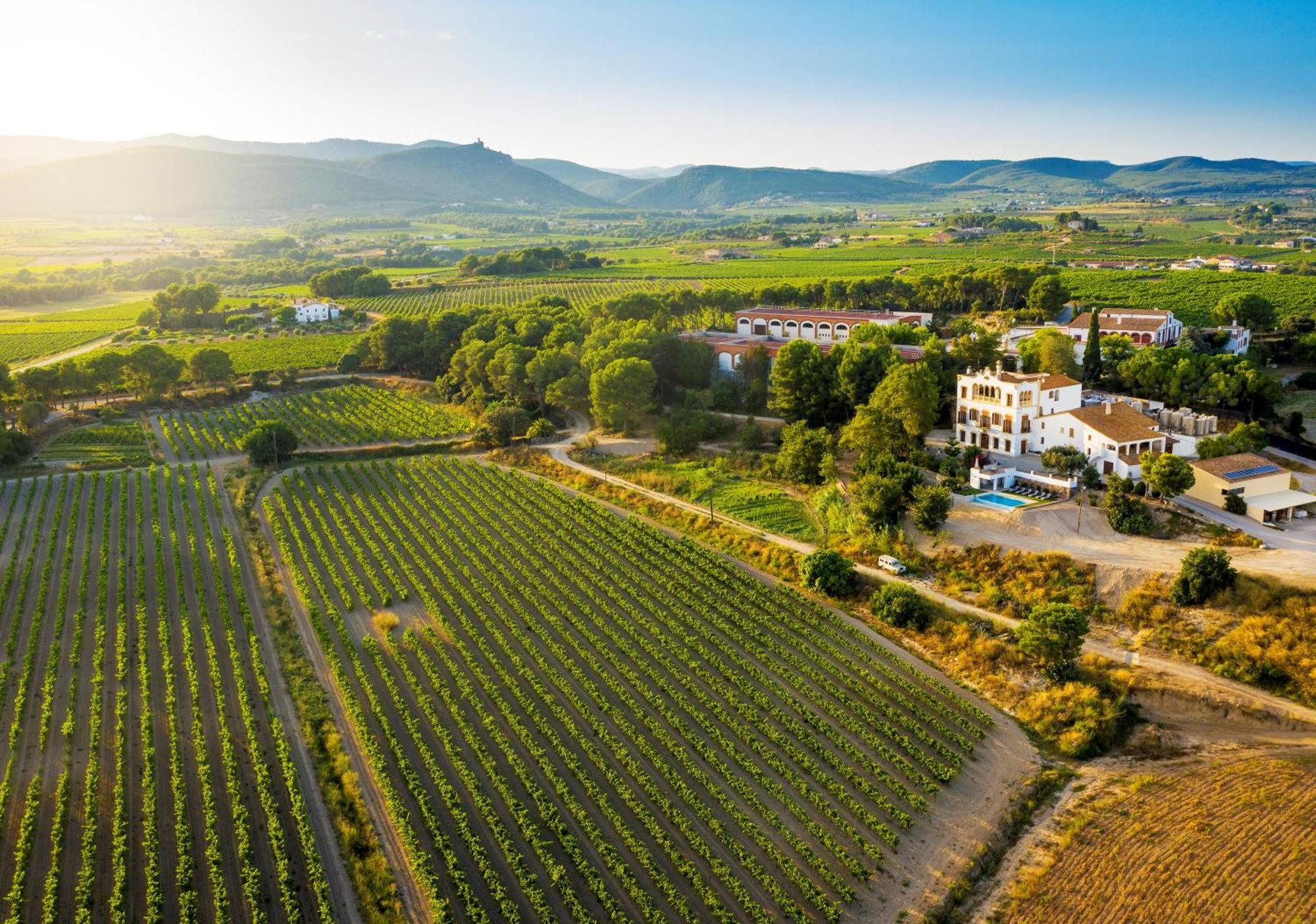 Bolet Casa Modernista Bed and Breakfast Castellvi de la Marca Εξωτερικό φωτογραφία